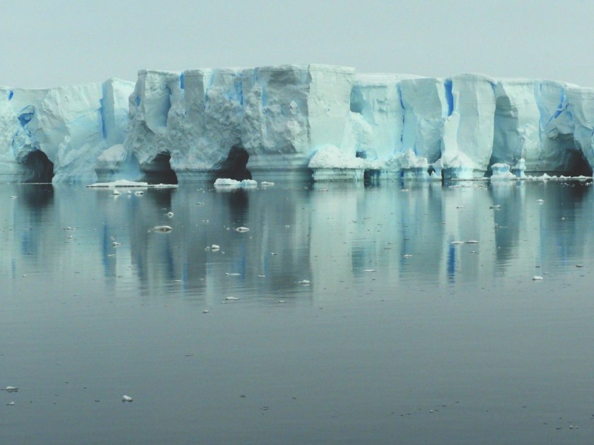 Antarctica - Cathy Sorbara